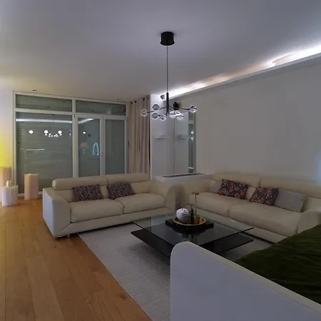 Le Luxury Loft - Parlement Europeen L Parking L Netflix - Spacieux & Unique Strasbourg