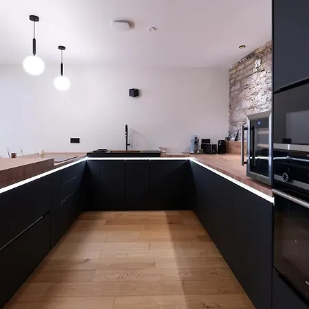Apartment Le Luxury Loft - Parlement Europeen L Parking L Netflix - Spacieux & Unique Strasbourg