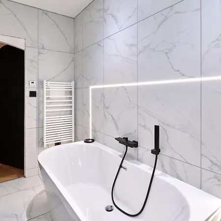 Le Luxury Loft - Parlement Europeen L Parking L Netflix - Spacieux & Unique * Strasbourg